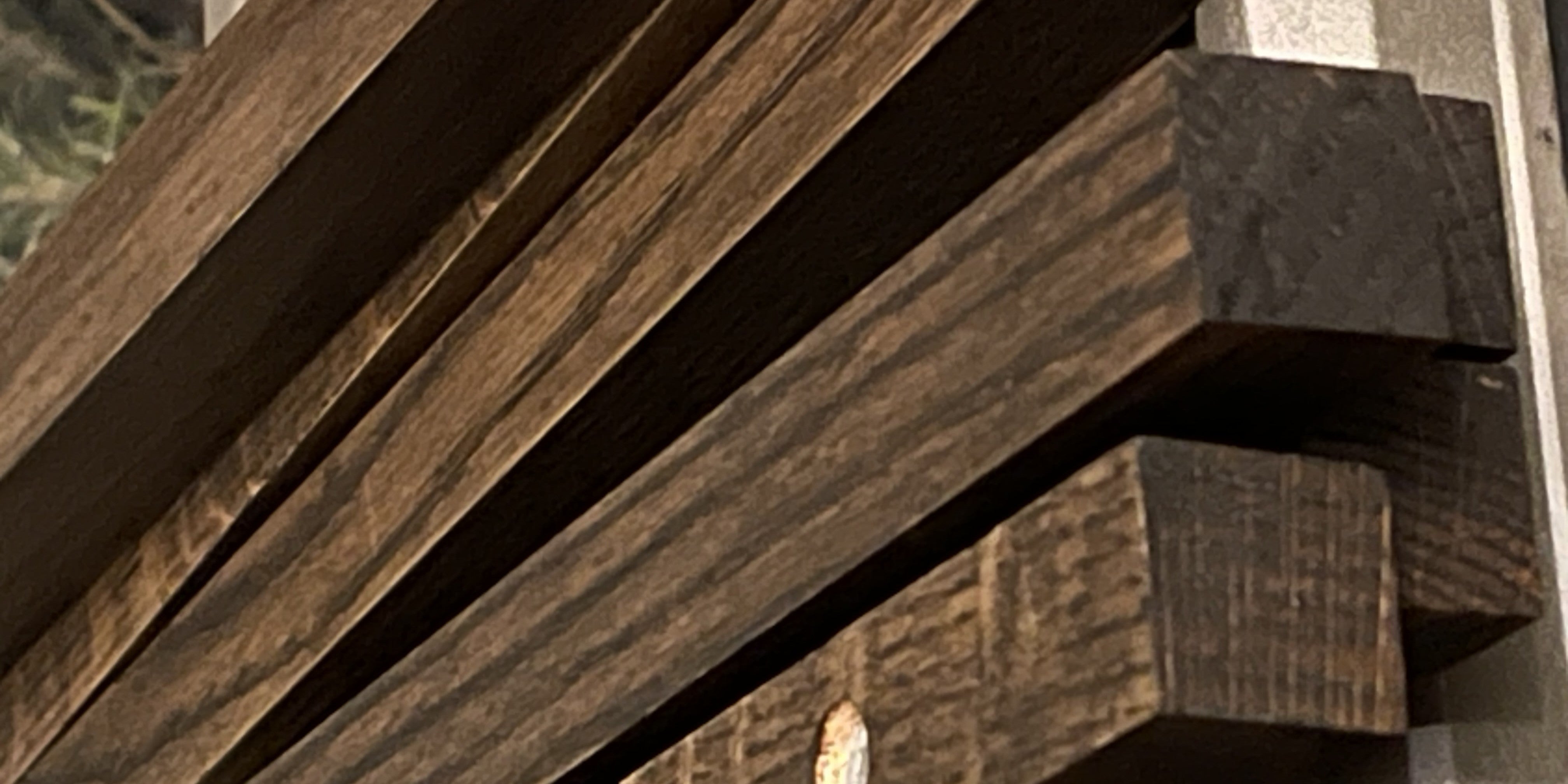 年輪\n- 自然の恵みを享受している材料 -