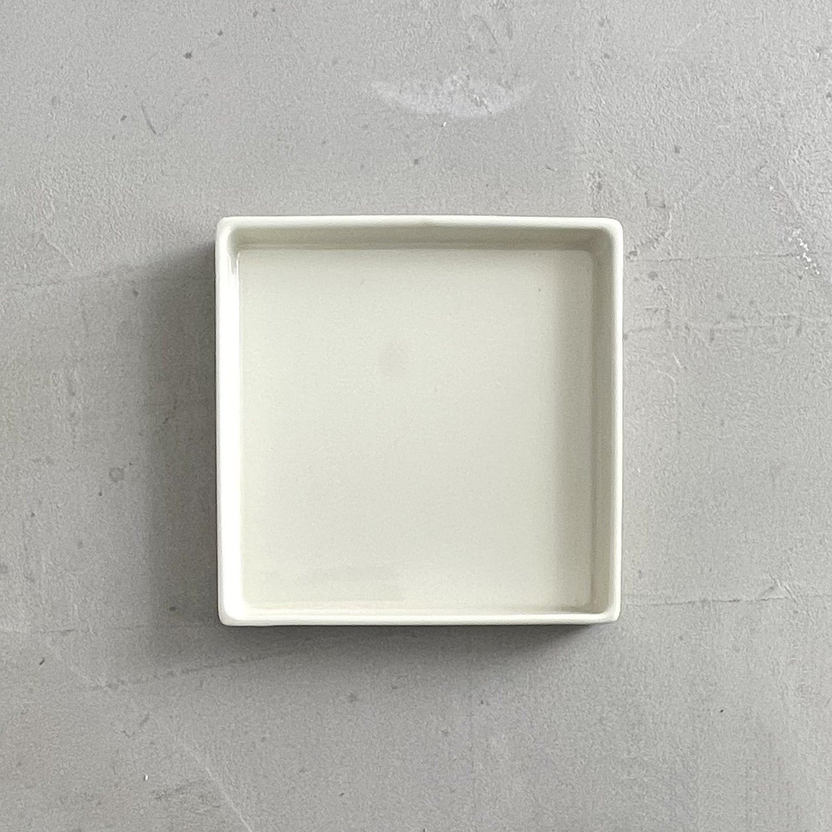 COMPANION TRAY