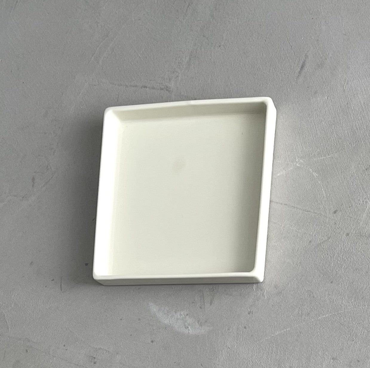 COMPANION TRAY