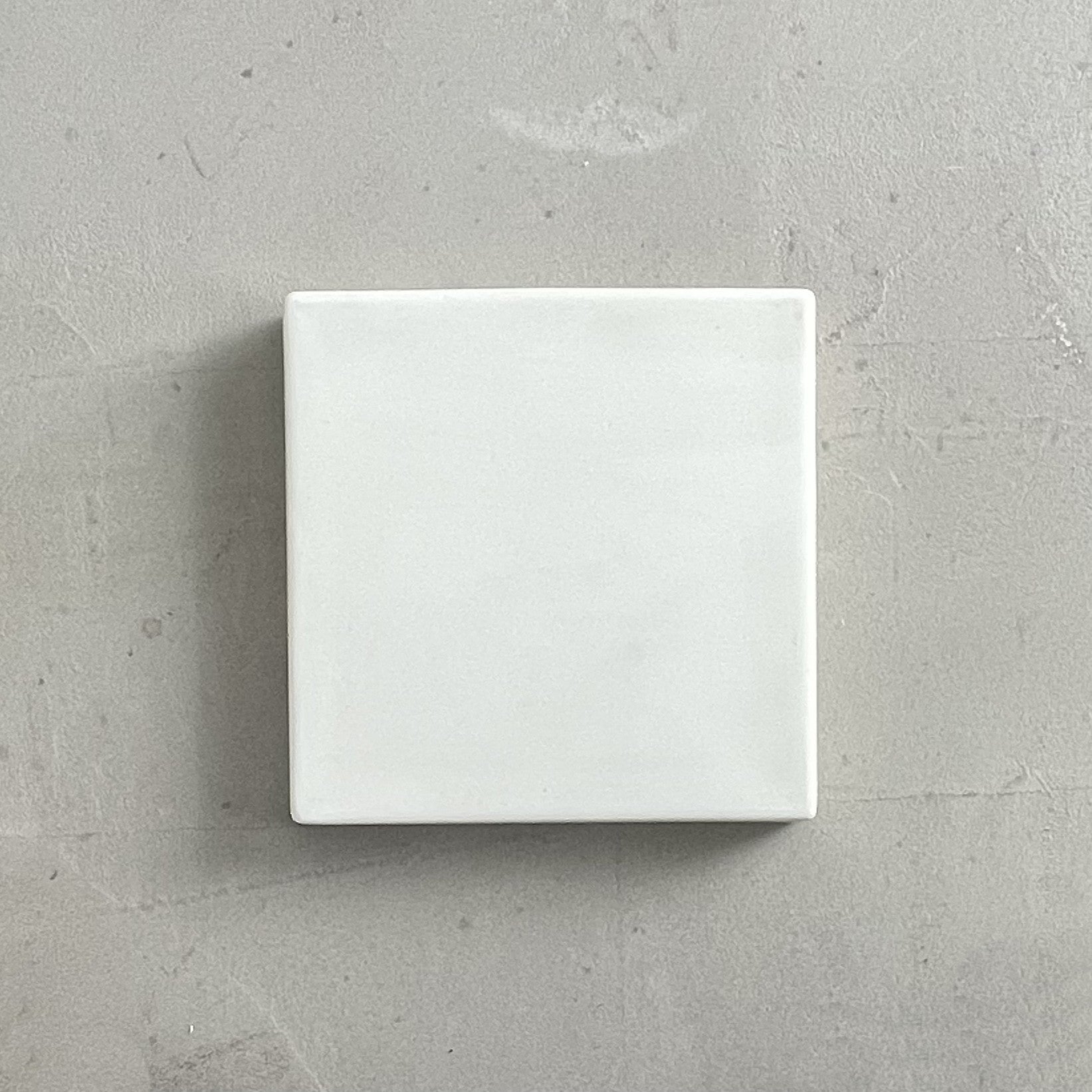 COMPANION TRAY
