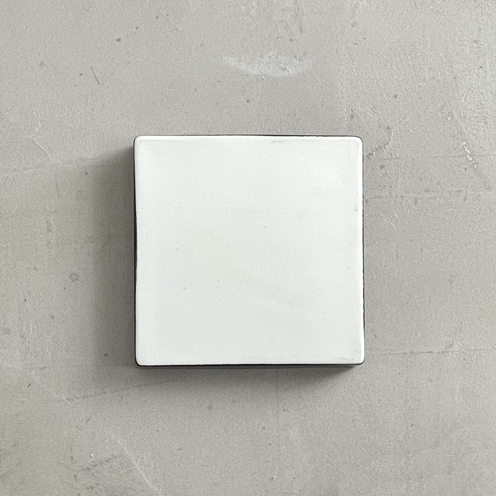 COMPANION TRAY