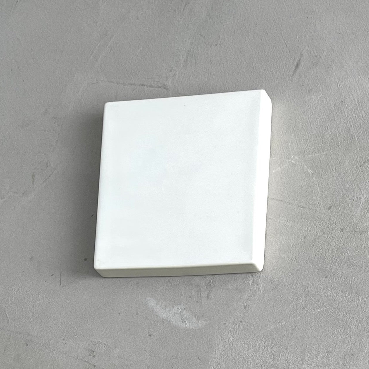 COMPANION TRAY