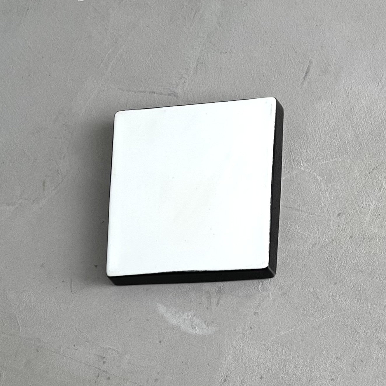 COMPANION TRAY